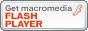 flash player