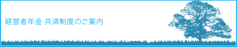 経営者年金